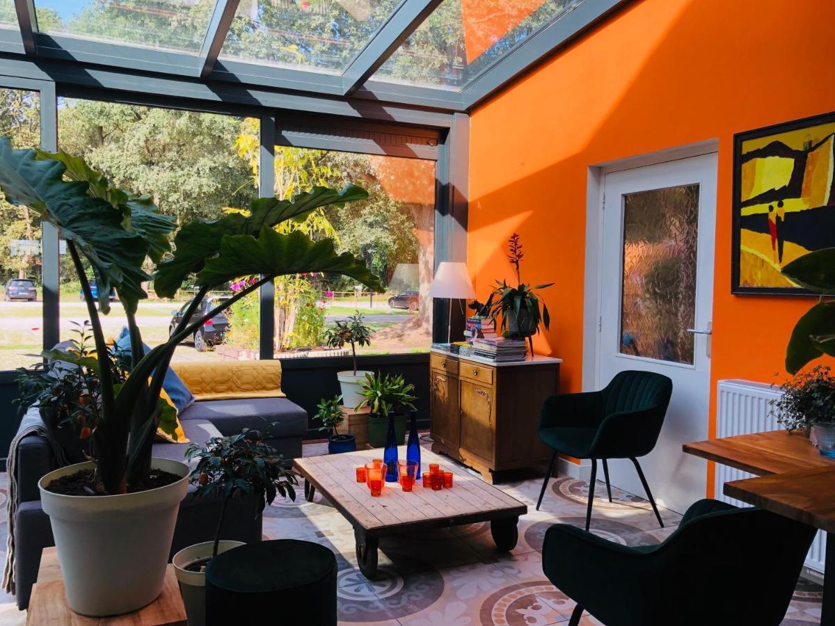 boutique hotel Villa BlauwHemel Diever Extérieur photo